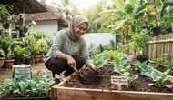Cara Menanam Kembang Kol dari Benih hingga Panen Melimpah untuk Pemula