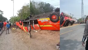 Bus Adhi Prima Terbalik di Mesuji, 3 Penumpang Meninggal dan Sopir Kabur