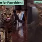 Aksi Gemas Kucing Anies Baswedan Pertanyakan Anggaran Kampanye, Mau Jadi Pawsiden (Tangkapan Layar Instagram/pawswedan)