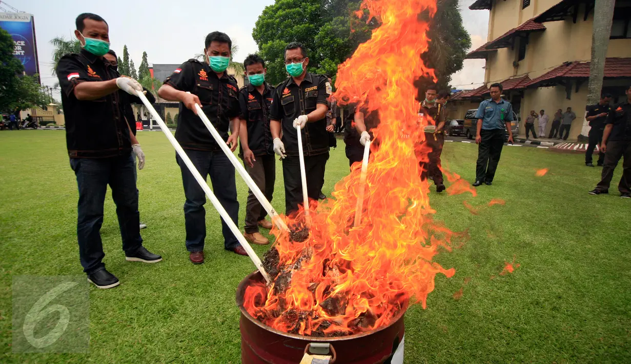 Direktorat Reserse Narkoba Polda DIY membakar barang bukti sitaan berupa 49 kilogram ganja kering di Mapolda DI Yogyakarta, Selasa (8/3). Barang bukti tersebut merupakan hasil operasi Narkoba Progo sepanjang Februari 2016 lalu. (Foto : Boy Harjanto)