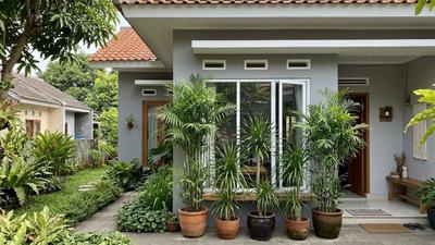 7 Cara Membuat Halaman Lebih Sejuk dengan Penempatan Tanaman, Solusi Praktis Atasi Rumah Gerah
