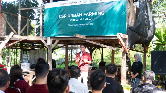 Program CSR Urban Farming yang dijalankan pengembang properti perkotaan Lippo Cikarang Cosmopolis. (Dok PT Lippo Cikarang Tbk)