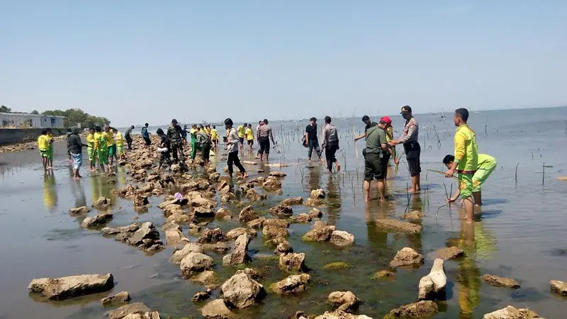 20150917-TNI-Polri dan Mahasiswa-Tanam Mangrove-Makassar