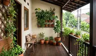 7 Cara Menata Kebun Mini di Teras Sempit agar Tidak Terlihat Penuh dan Berantakan