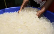 Cara dan Aturan Makan Kolang-Kaling yang Benar untuk Dapatkan Manfaat Kesehatan Maksimal