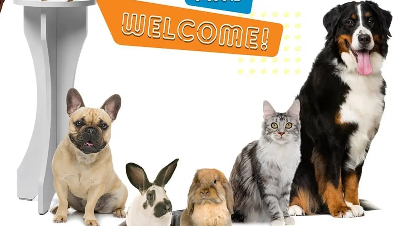 6 Agenda Akhir Pekan Seru, dari Pet Show hingga Travel Fair
