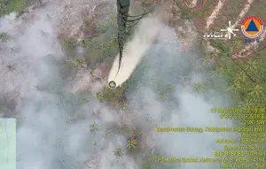 BNPB Ungkap Kendala Pemadaman Kebakaran Hutan dari Udara