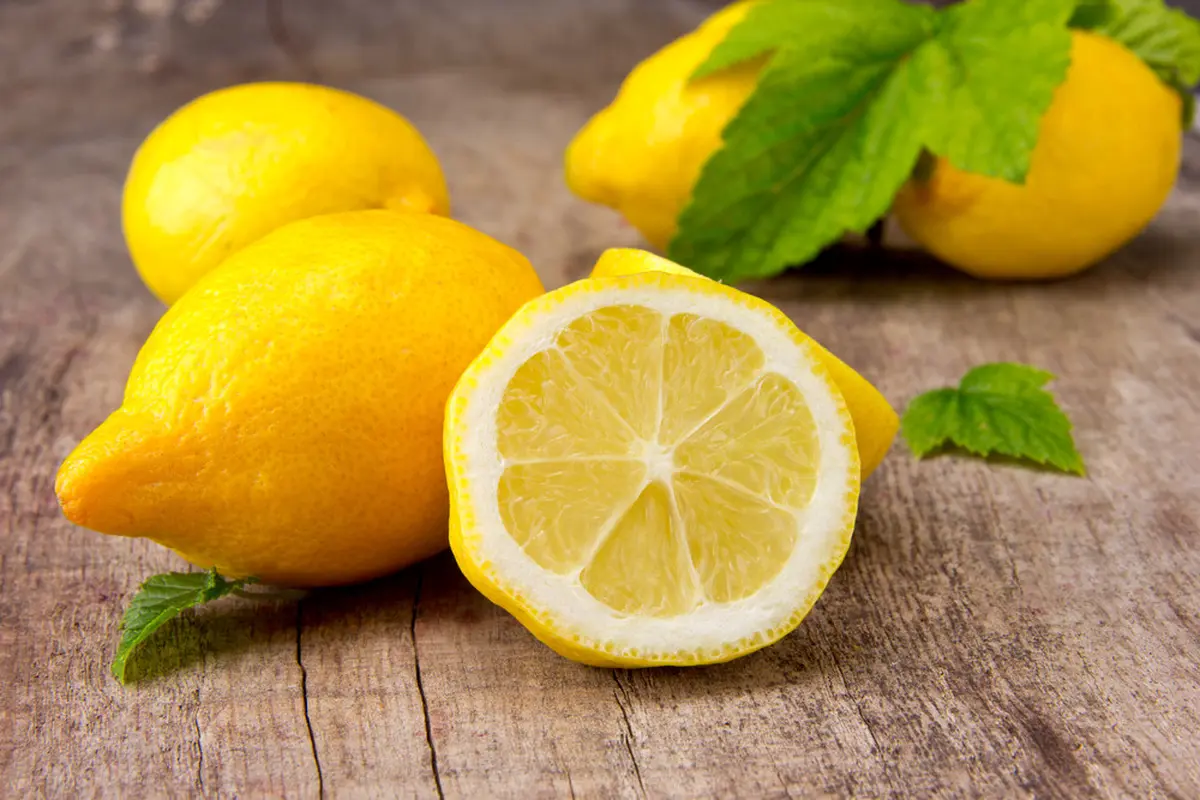 ilustrasi manfaat lemon/Jag_cz/shutterstock