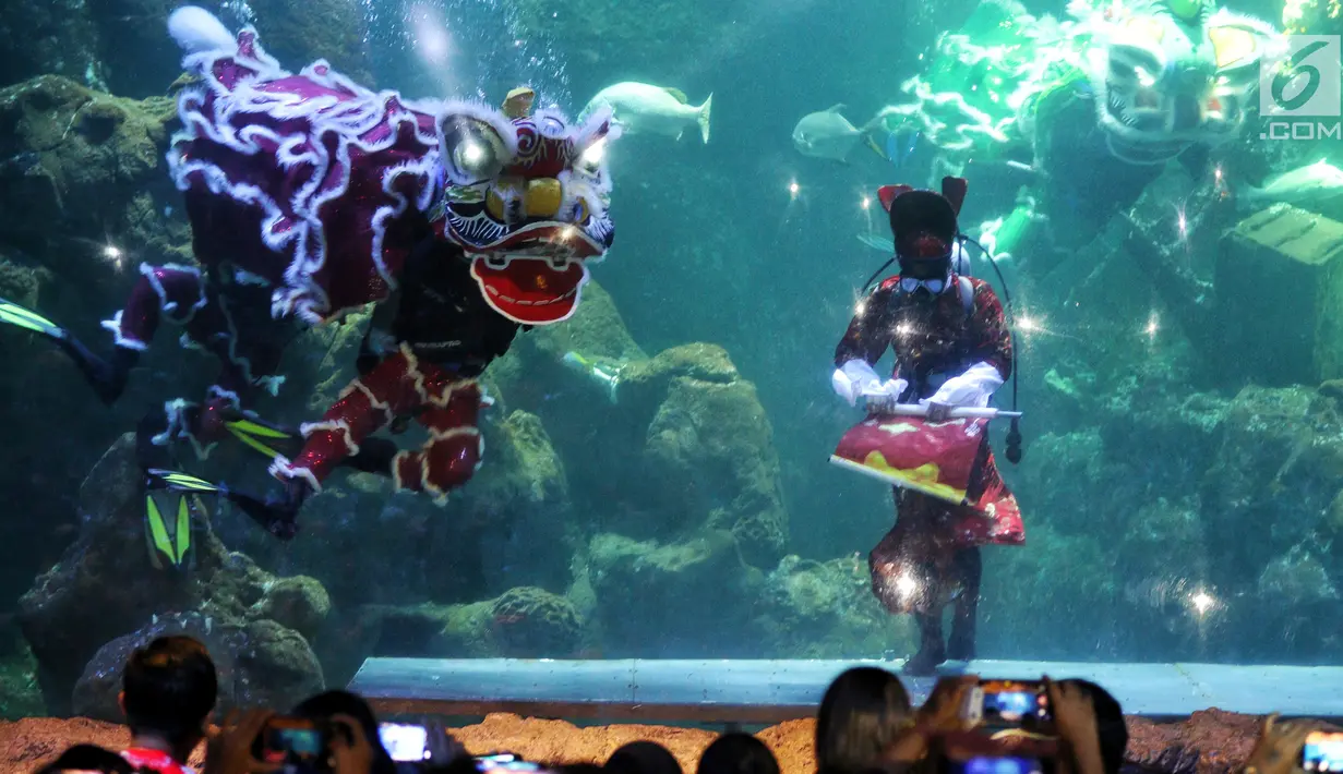 Pemain barongsai tampil di dalam air di Seaworld Ancol, Jakarta, Minggu (3/2). Pertunjukan dalam rangka memeriahkan Tahun Baru Imlek 2570 tersebut mengangkat tema "The Legend of 12 Shio" yang digelar hingga 5 Februari 2019. (Liputan6.com/Johan Tallo)