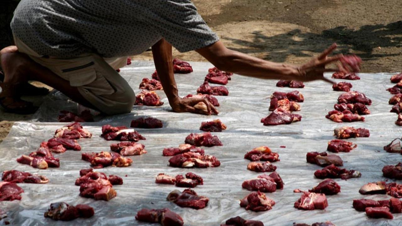 Ilustrasi Daging Kurban