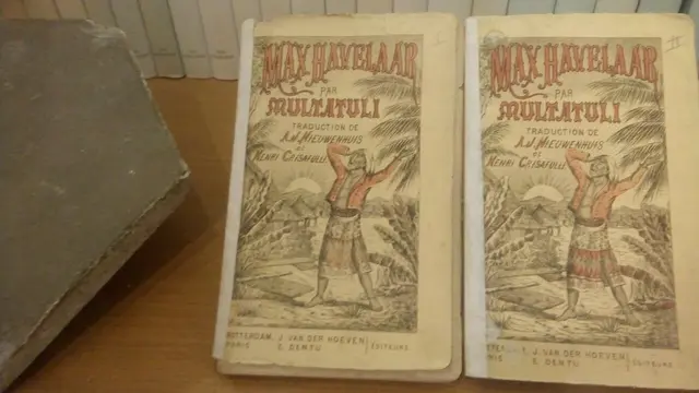 Max Haveelar