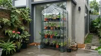 Cara Membuat Greenhouse Mini dari Rak dan Plastik Transparan, Bisa Dibuat dengan Budget Terjangkau