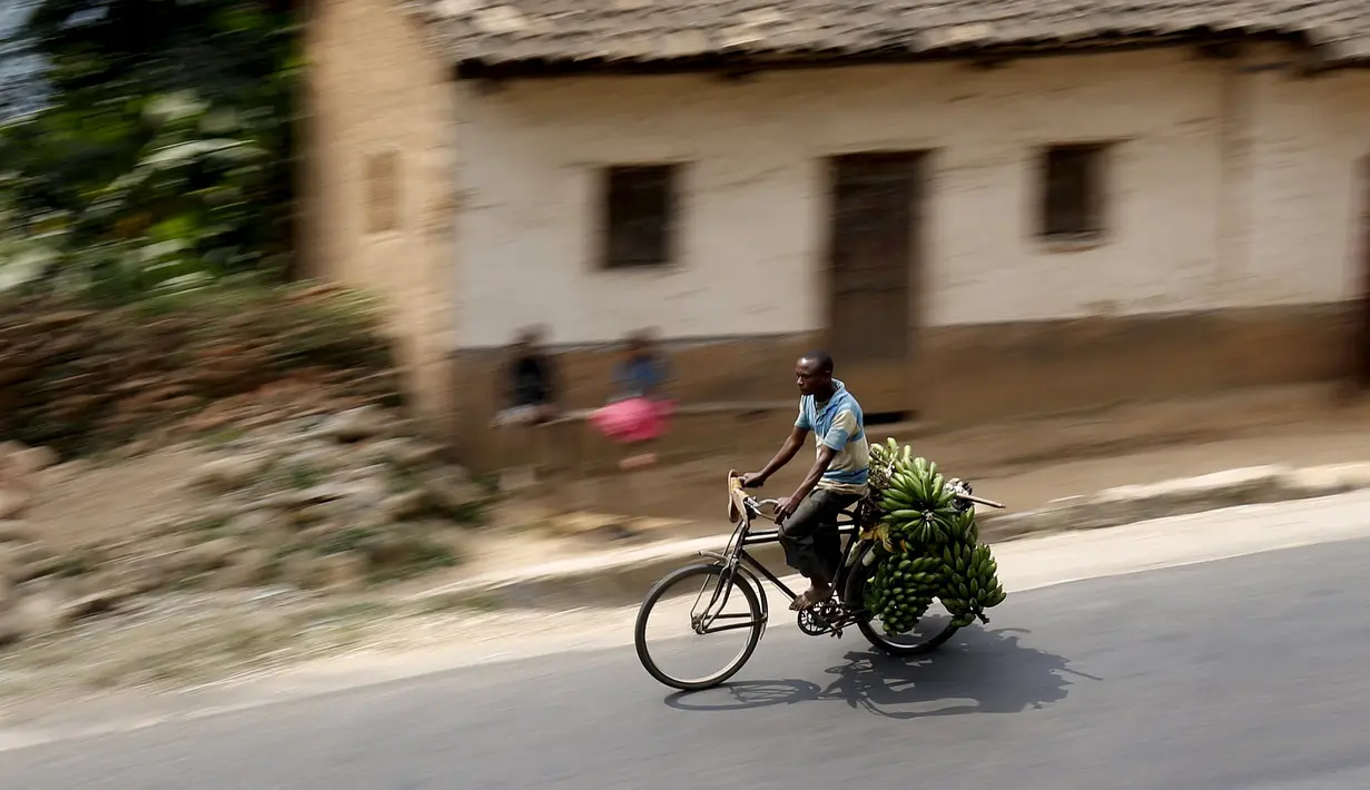 Warga Burundi saat mengendarai sepedanya membawa pisang dari daerah pedesaan menuju pasar di ibukota Bujumbura, Burundi, (19/7/2015). Karena Melewati jalanan menanjak, pengendara sepeda ini sering bergelantungan di belakang truk. (REUTERS/Mike Hutchings)