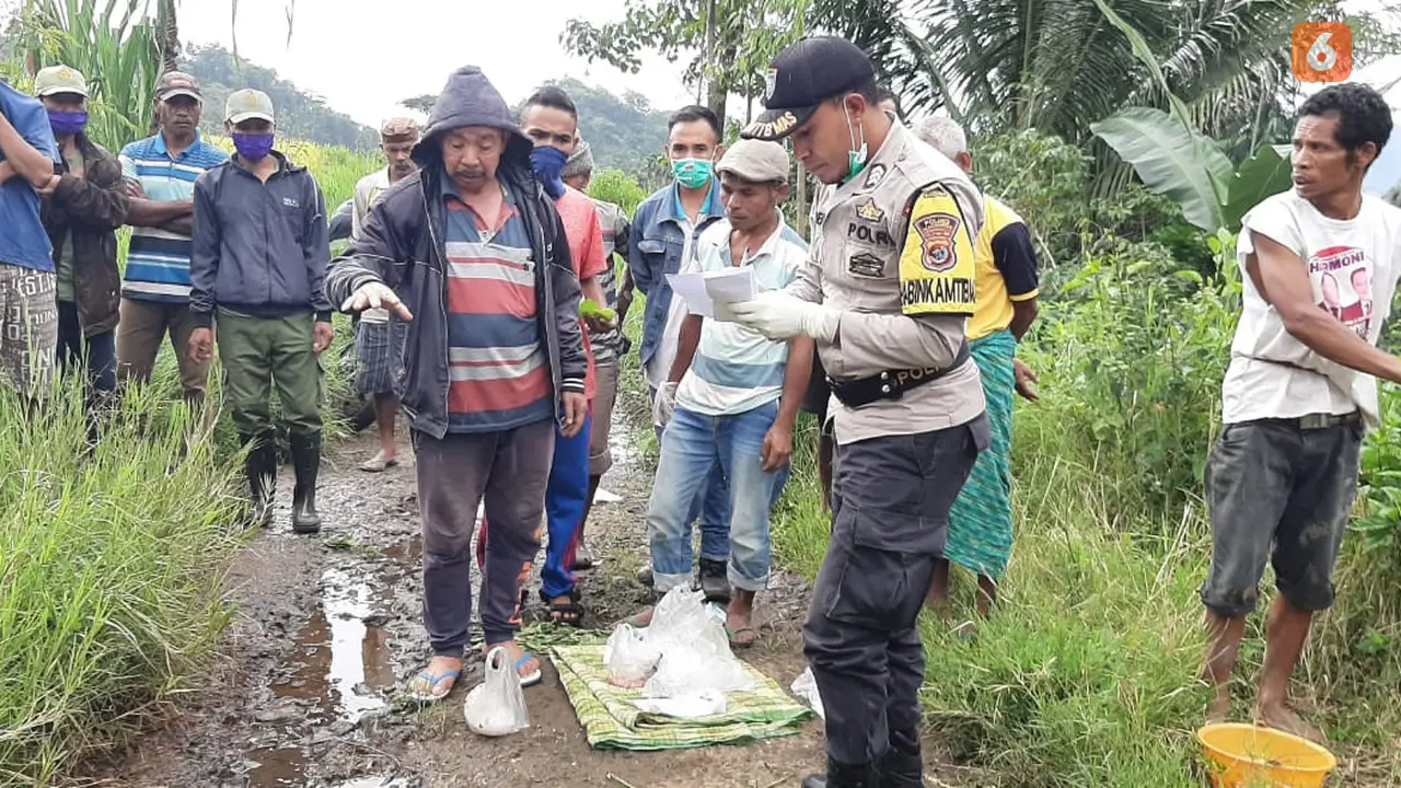 Kecelakaan Tragis