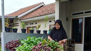 7 Cara Membuat Hidroponik Bayam Panen 25 Hari, Sebuah Panduan untuk Pemula di Rumah
