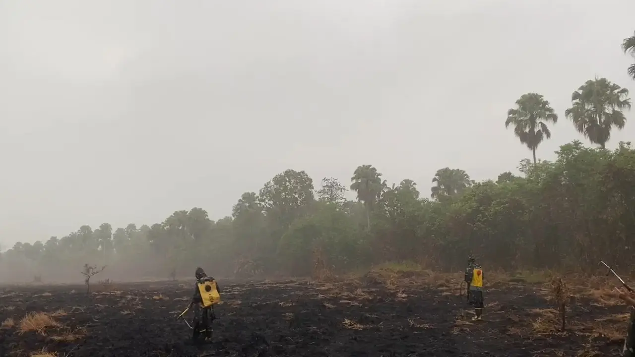 Karhutla Taman Nasional Way Kambas