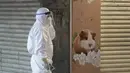 Petugas melewati toko hewan peliharaan yang ditutup setelah beberapa hamster dinyatakan positif corona di Hong Kong, Selasa (18/1/2022). Sekitar 2.000 hewan kecil termasuk hamster usai sejumlah hamster di sebuah toko hewan peliharaan positif Covid-19. (AP Photo/Kin Cheung)
