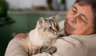 Common mistakes many cat owners make. (Photo: Freepik/Magnific)