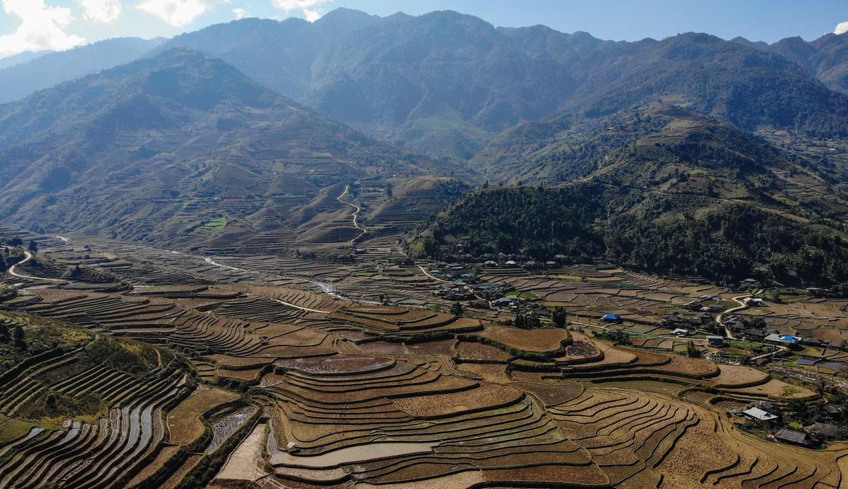 Foto udara ini menunjukkan sawah terasering di provinsi Yen Bai, Vietnam pada 29 November 2021. Sawah sangat indah pada bulan September dan Oktober, ketika tanaman berubah menjadi kuning mengkilap. (Nhac NGUYEN / AFP)