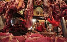 Stok daging sapi dipastikan aman jelang lebaran