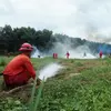 Tangani Hoaks Seputar Karhutla, Pemprov Sumsel Bakal Aktifkan Media Center