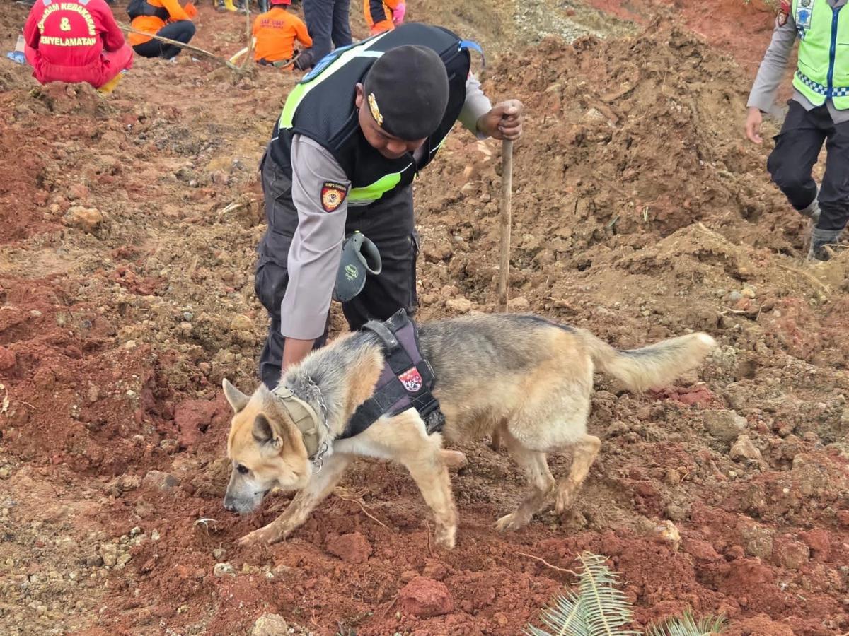 Potret Anjing Pelacak Polri, Dikerahkan untuk Pencarian Korban Longsor Cilacap