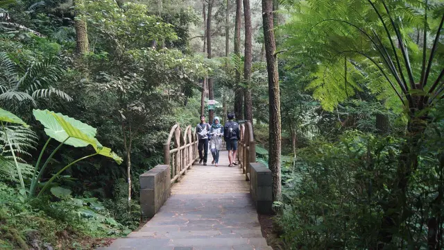 Segar Tanpa Bau Petai di Curug Cipeuteuy