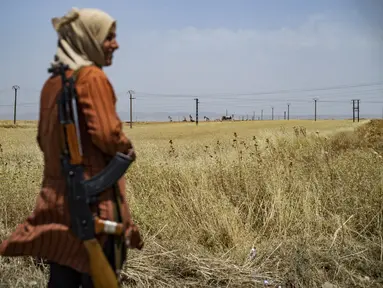 Seorang sukarelawan Pasukan Perlindungan Masyarakat Kurdi menjaga ladang gandum dari kebakaran atau penjarahan di sekitar kota Tarbesbeyeh, yang juga dikenal sebagai al-Qahtaniyah dalam bahasa Arab, di Gubernuran Hasakeh, Suriah timur laut, dekat perbatasan Turki, 30 Mei 2024. (Delil SOULEIMAN / AFP)