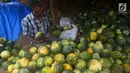 Pedagang menyortir buah blewah di Pasar Induk Kramat Jati, Jakarta, Kamis (24/5). Harga buah blewah selama bulan suci Ramadan masih stabil dan dijual dengan harga Rp 7.000 per Kg.  (Merdeka.com/Imam Buhori)