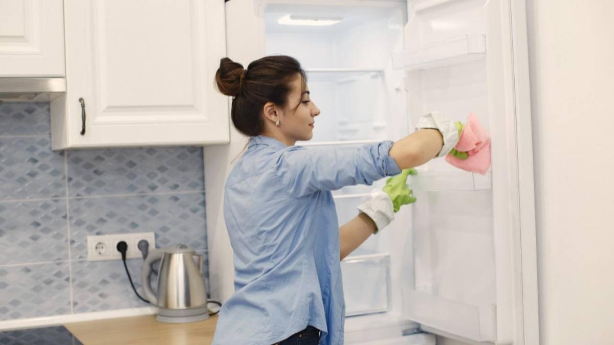 Produk Pembersih Kulkas Ampuh 2024 - Jaga Makanan Tetap Sehat