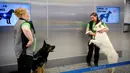 Anjing pelacak virus corona bernama Valo (kiri) dan E.T. bersama pelatih mereka di bandara Helsinki di Vantaa, Finlandia, Selasa (22/9/2020). Mereka dilatih untuk mendeteksi bau khas infeksi Covid-19 dari penumpang yang datang di bandara. (Antti Aimo-Koivisto/Lehtikuva/AFP)