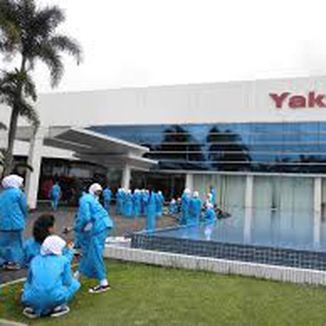 Beban Bertambah Harga Yakult Makin Mahal Bisnis Liputan6 Com