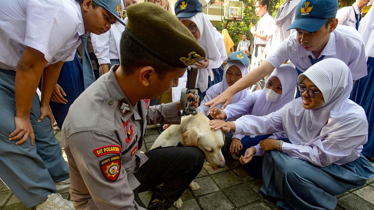 FOTO: Semangat Murid SLB Belajar Bersama Anjing K-9 Mabes Polri