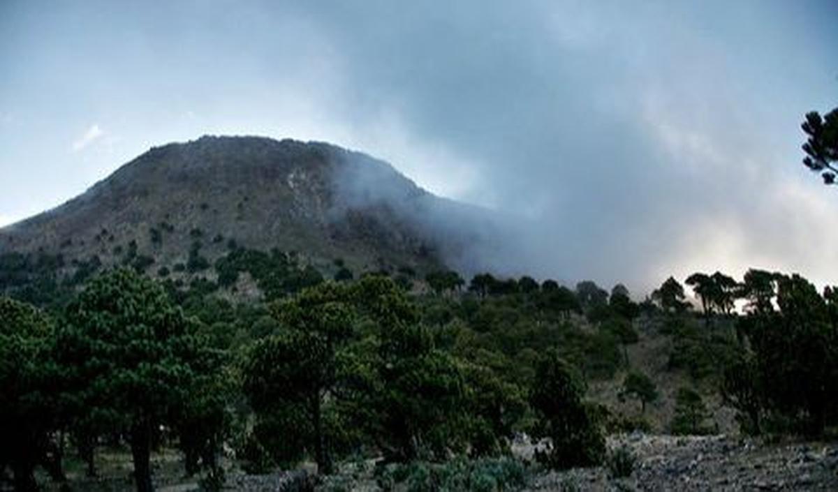 1. Aktivitas Gunung Berapi Dapat Terlihat dari Kesehatan Pepohonan di Sekitarnya<br>