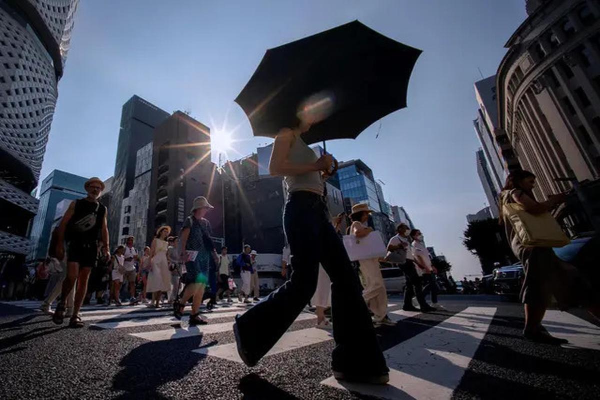 Gelombang Panas di Jepang Capai Lebih dari 40 Derajat Celcius, Pajangan Makanan Palsu Meleleh