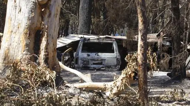 Kebakaran hutan di Australia.