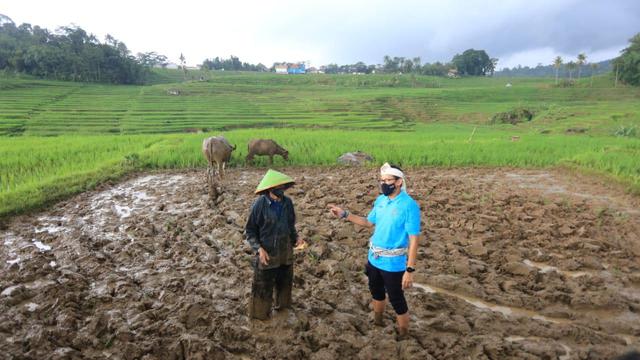 Kisah Pembajak Sawah Tradisional Terakhir di Desa Wisata Bantaragung Majalengka