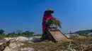 Petani memanen padi di lahan yang mengalami gagal panen di Desa Weninggalih, Kecamatan Jonggol, Kabupaten Bogor, Minggu (5/7/2026). (Merdeka.com/ Arie Basuki)