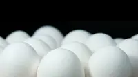 Ternyata, protein yang berasal dari putih telur dapat diubah menjadi energi listrik melalui proses piezoelektrik. (Sumber Pixabay)