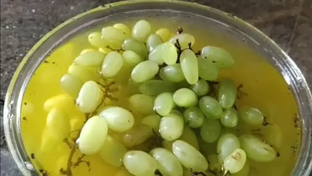 Tanpa Tepung, Begini Cara Hilangkan Lilin dan Pestisida pada Anggur Cuma Pakai 2 Bahan Dapur