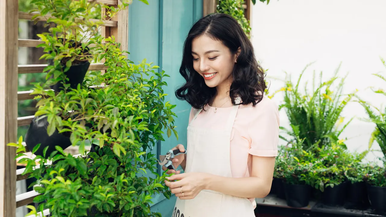 Bisa Jadi Mood Booster, Yuk Mulai Hobi Menanam bareng Shopee 3.15 Hari Belanja Konsumen
