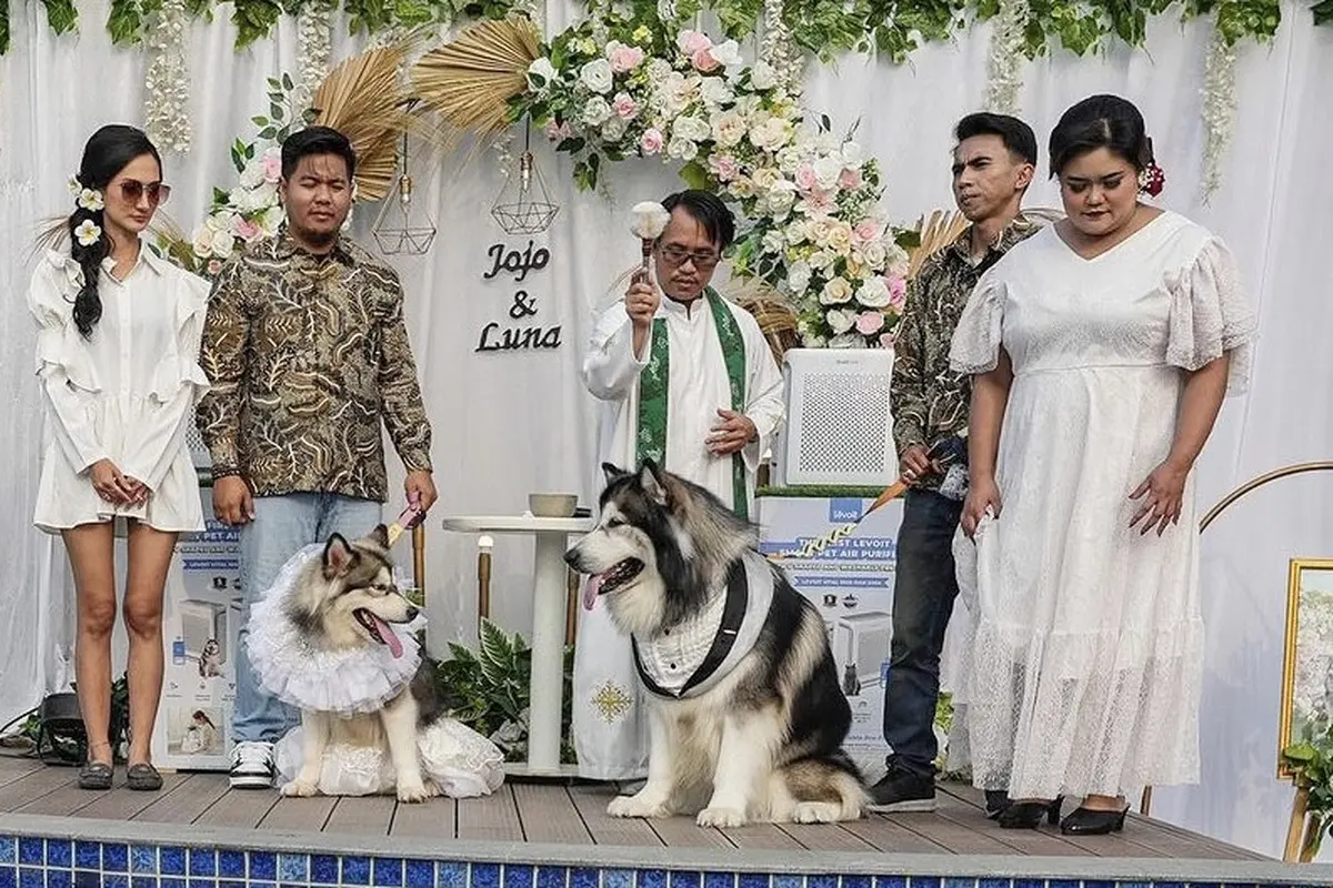 Pernikahan Anjing Viral Jojo dan Luna