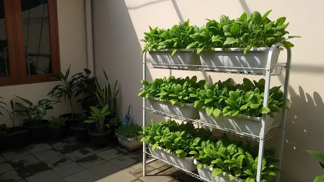 10 Ide Kebun Sayur dari Rak Piring Bekas, Ciptakan Taman Vertikal Estetik