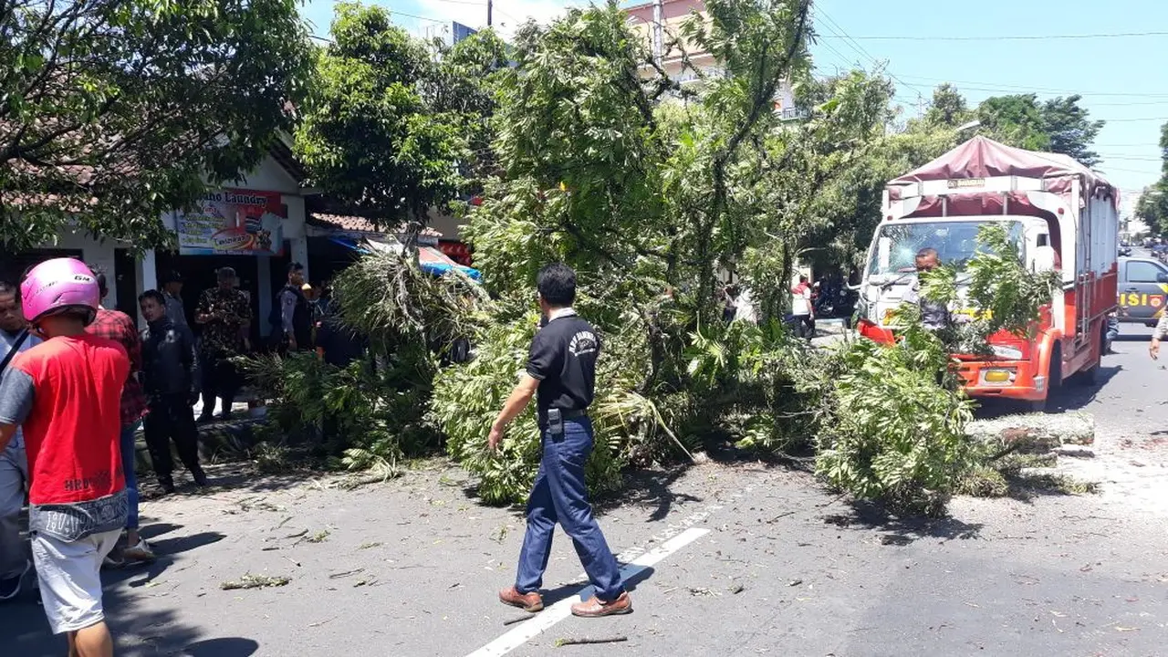 Melintas Saat Pohon Tumbang, 2 Siswi SMAN 1 Banjarnegara Tewas