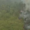 Siapa di Balik Kebakaran Hutan Way Kambas? Polisi Naikkan Kasus ke Penyidikan