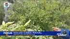 Fokus edisi (06/06) mengangkat beberapa berita sebagai berikut, Dampak PMK, Harga Sapi Anjlok, Jemaah Calon Haji Positif Covid-19, Harga Cabai Makin Mahal, Ridwan Kamil Kembali Bekerja, Tiket Naik ke Borobudur Meroket.