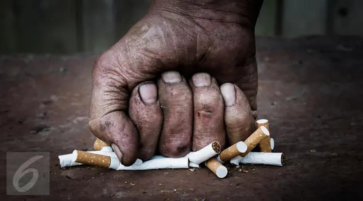 Cara Menurunkan Kolesterol Tinggi Tanpa Obat Secara Alami