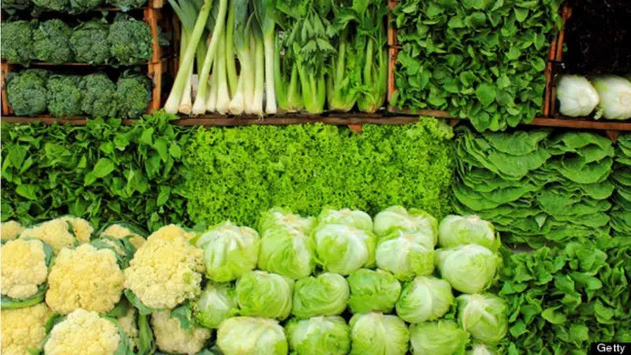 Variasi Menu Diet Sayur Hijau Mudah Dibuat, Bisa Dicoba Agar Tidak Membosankan