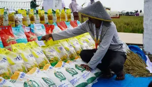 Redam Kenaikan Harga Beras, Pasar Rakyat Jadi Titik Distribusi SPHP