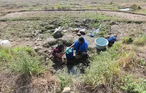 Warga Terpaksa Ambil Air dari Kubangan Bekas Sawah